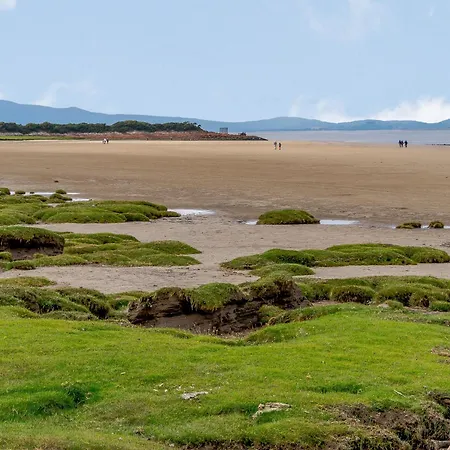 The Barnacle Goose - Uk35261 *